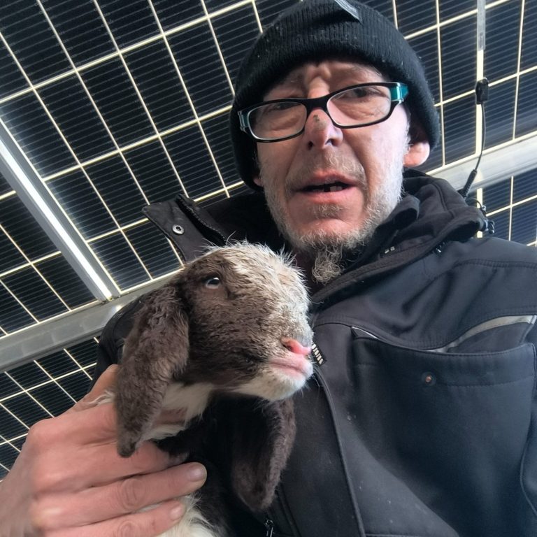 Schäfer hält ein Lamm im einer Solarfeld